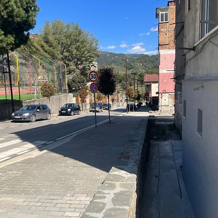 Viva Apartments Përmet Kültér fotó
